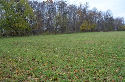 Property photo 8 - 80 Acres & Home - Property Offered in 4 Tracts from 2.3 to 30.0 Acres